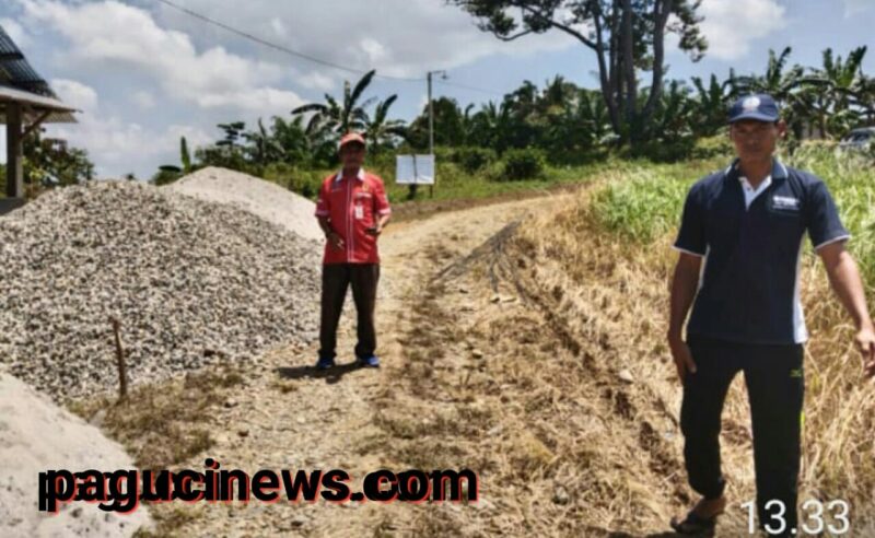 DPW  organisasi kemasyarakatan profesional jaringan mitra negara ( ormas projamin) Infrastruktur kejakan sesuai RAB