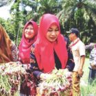 Ketua TP PKK Bengkulu Utara Ny Eko Kurnia Ningsih Mian Panin Perdana Bawang Merah Petani Padang Jaya 