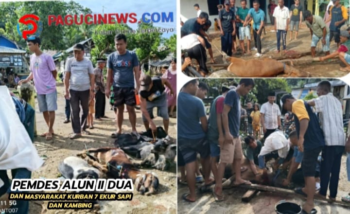 Kurban adalah salah satu ibadah sunnah yang dilakukan oleh umat Islam di setiap tahunnya