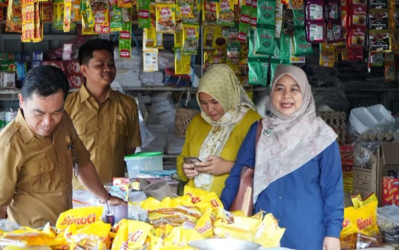 Pendataan demografi dan ekonomi desa karang suci