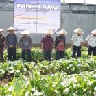 Dukung Ketahanan Pagan Lapas Kelas IIB Arga Makmur Gelar Panen Raya