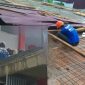 Oplus_0